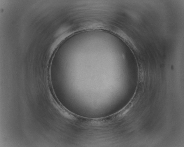 X0000071361086200606231153