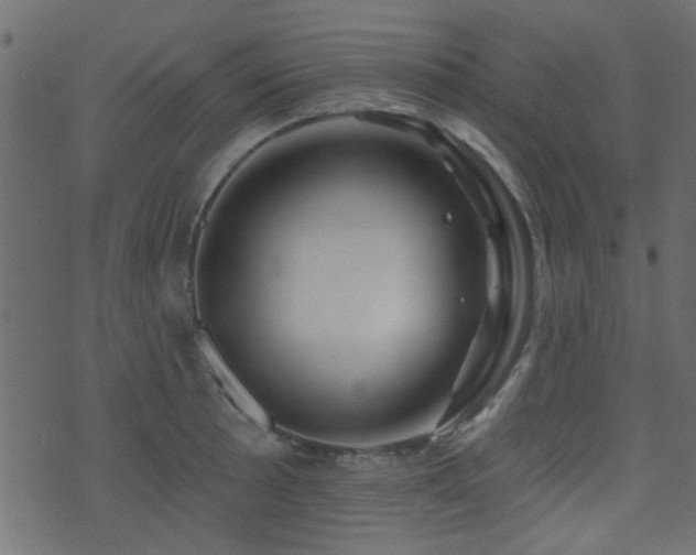 X0000071361089200606231153