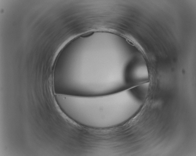 X0000071361100200606231153