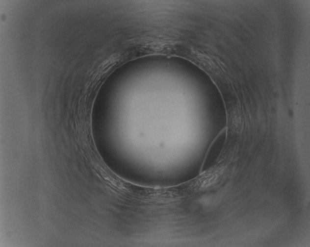 X0000071361105200606231152