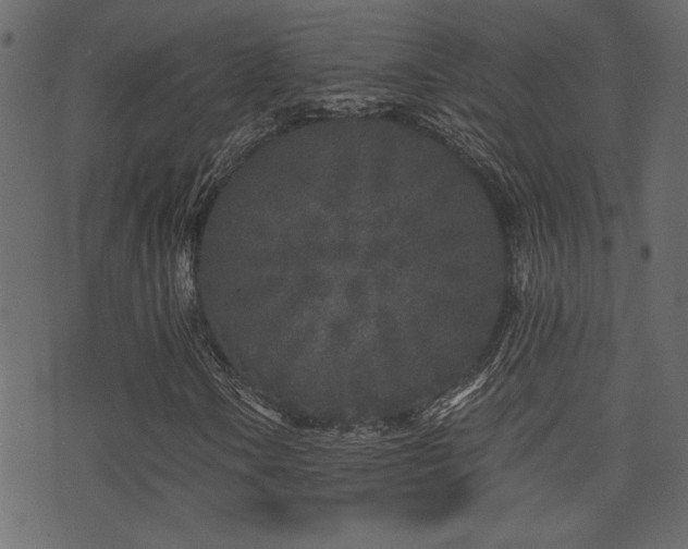 X0000071361106200606231152