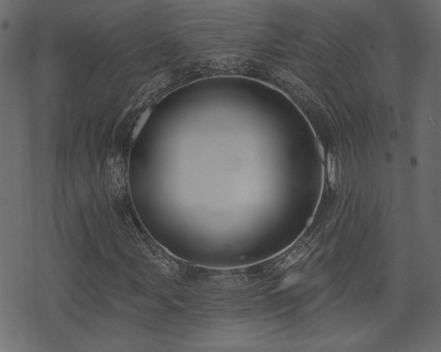 X0000071361107200606231152