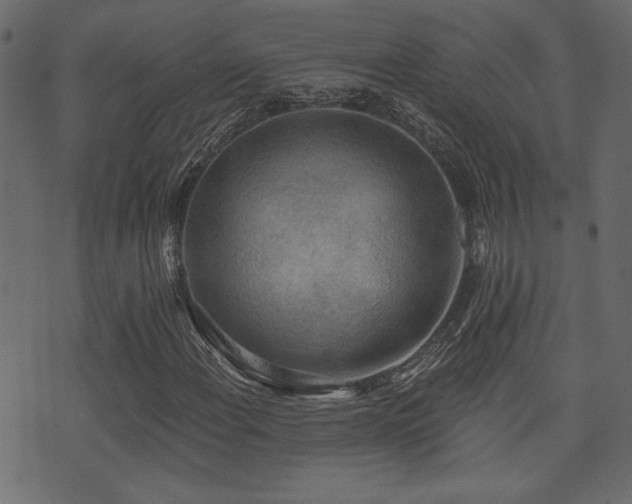 X0000071361108200606231152