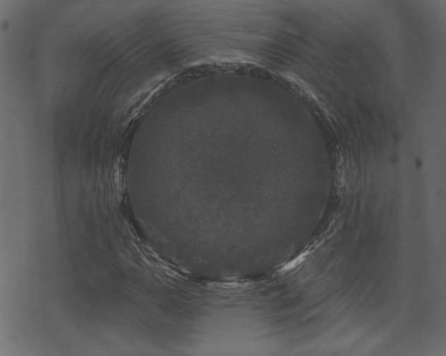 X0000071361110200606231152