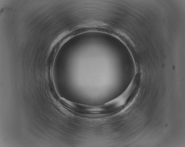 X0000071361114200606231152