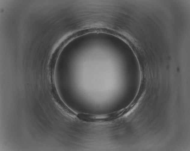 X0000071361118200606231152