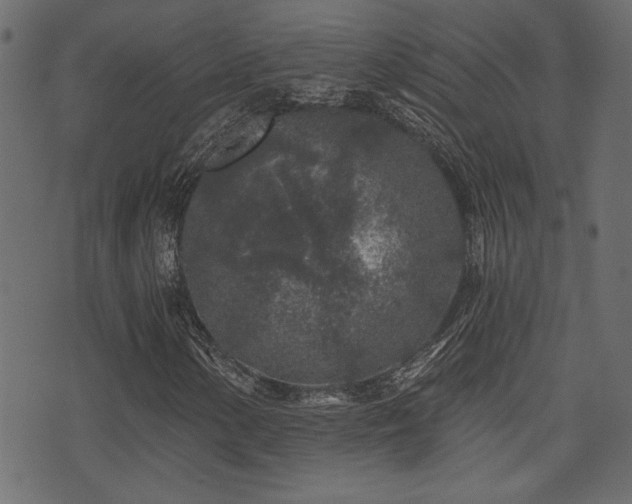 X0000071361154200606231152