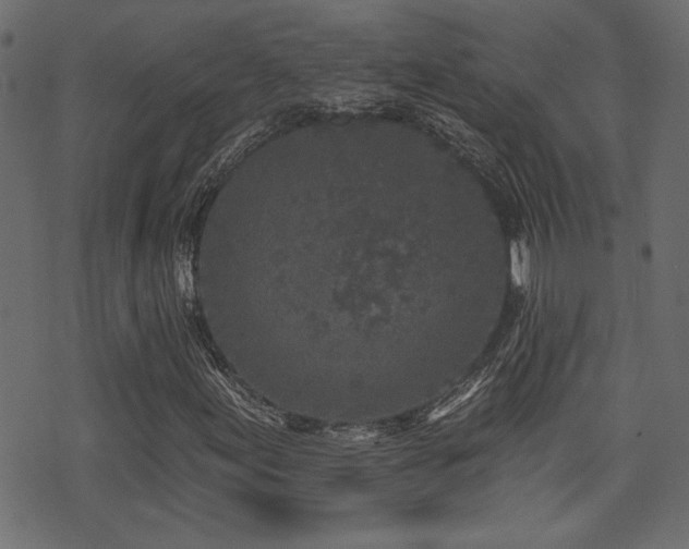 X0000071361155200606231152