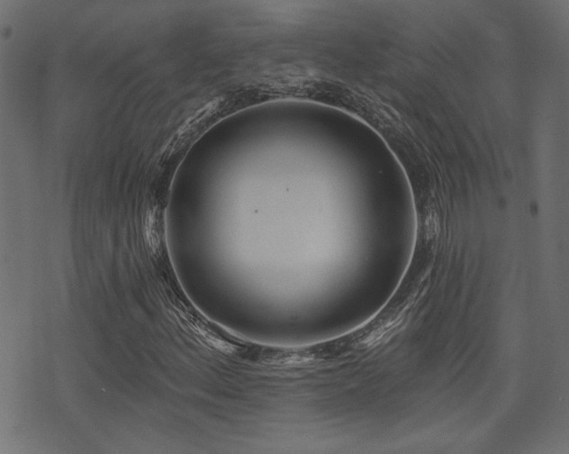 X0000071361156200606231152