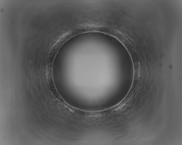 X0000071361157200606231152