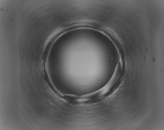 X0000071361164200606231152