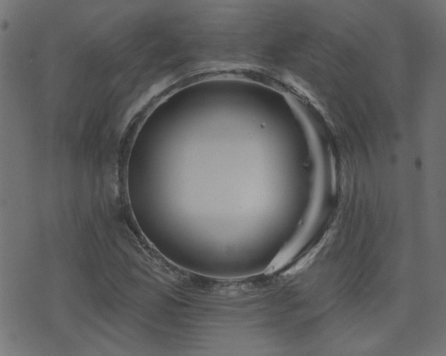 X0000071361165200606231152