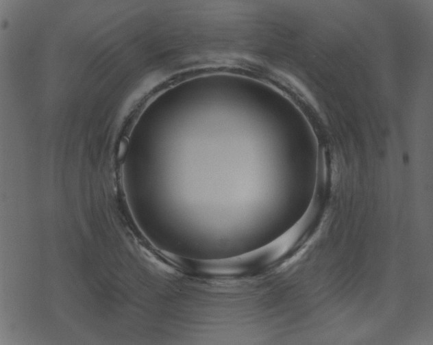 X0000071361172200606231152