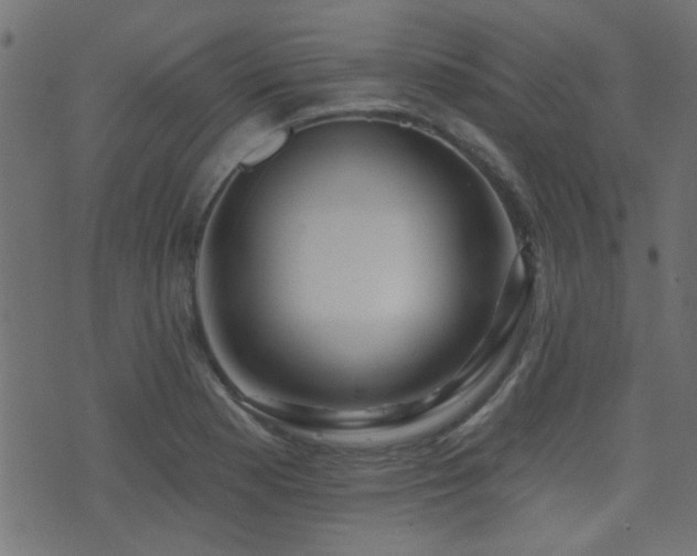 X0000071361177200606231151
