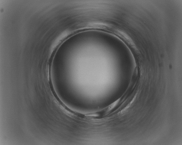 X0000071361180200606231151