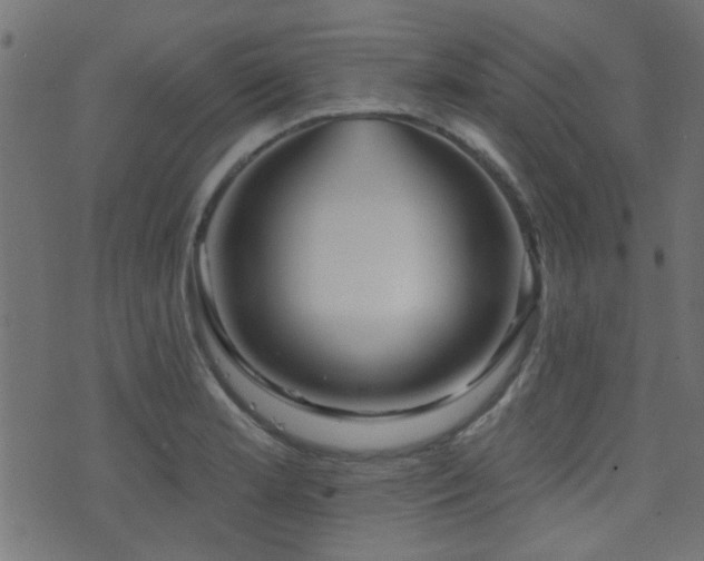 X0000071361181200606231151