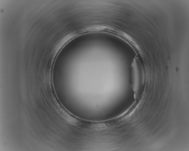 X0000071361186200606231151