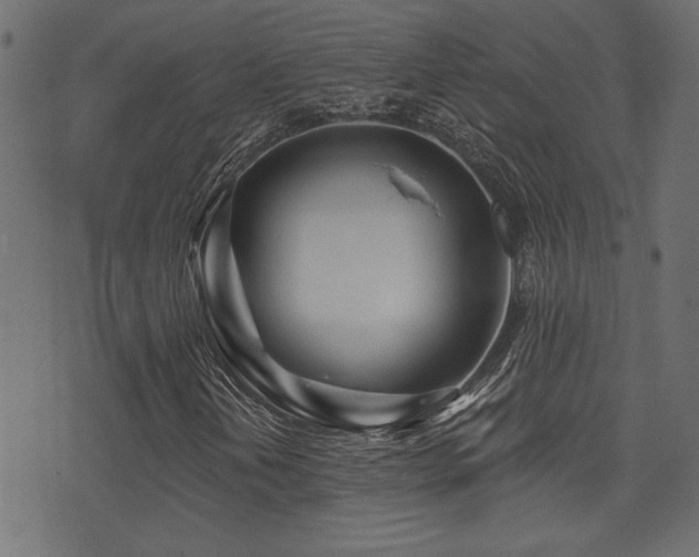 X0000071361202200606231150
