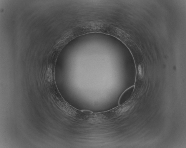 X0000071361203200606231150