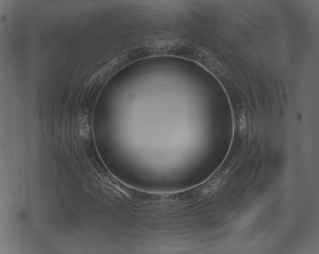 X0000071361204200606231150