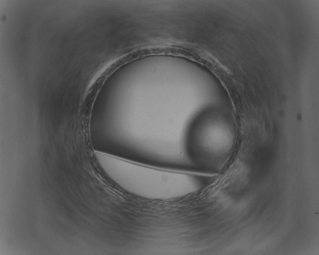 X0000071361208200606231150
