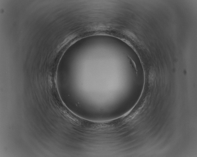 X0000071361209200606231150