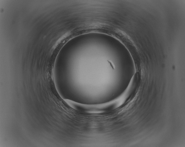 X0000071361210200606231150
