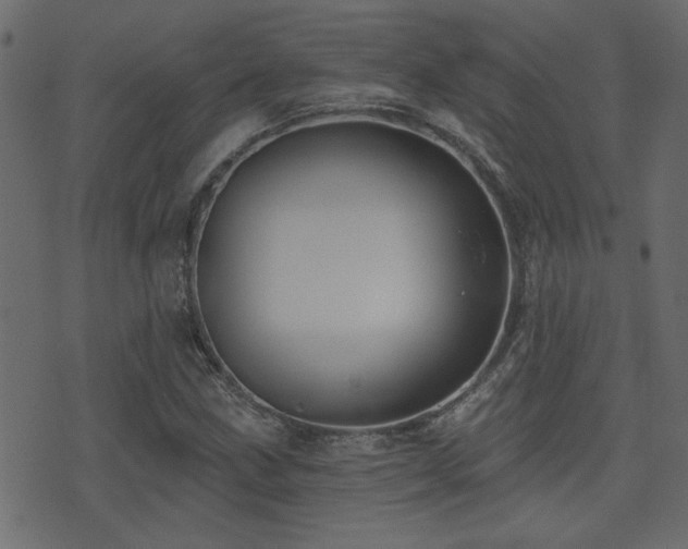 X0000071361211200606231150