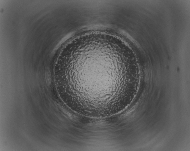 X0000071361213200606231151