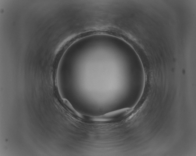 X0000071361214200606231151