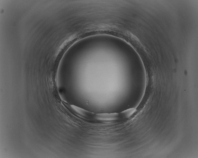 X0000071361218200606231151