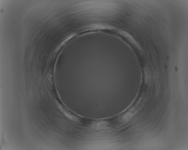 X0000071361225200606231151