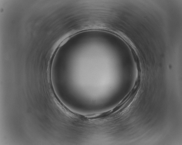 X0000071361246200606231151