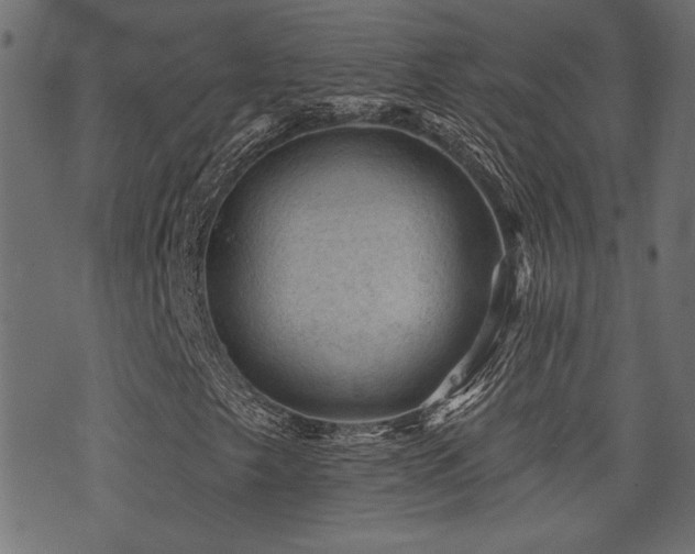 X0000071361249200606231150