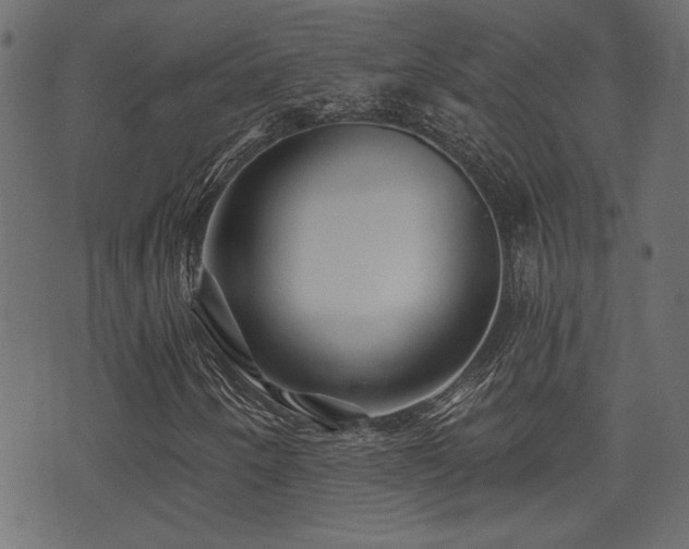 X0000071361250200606231150