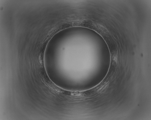 X0000071361252200606231150