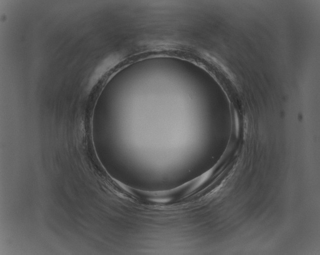 X0000071361261200606231150