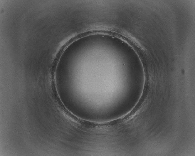 X0000071361264200606231150