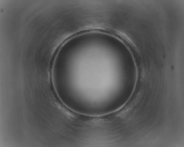 X0000071361268200606231150