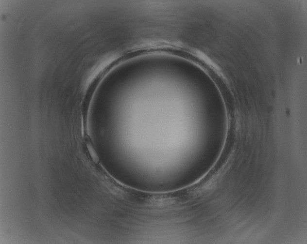 X0000071361269200606231150