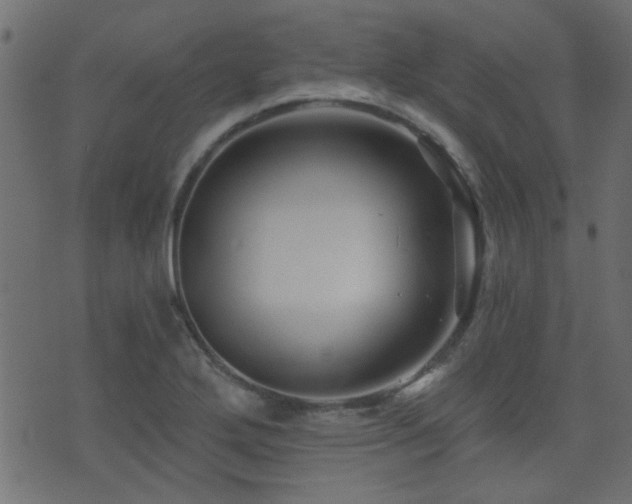 X0000071361272200606231150