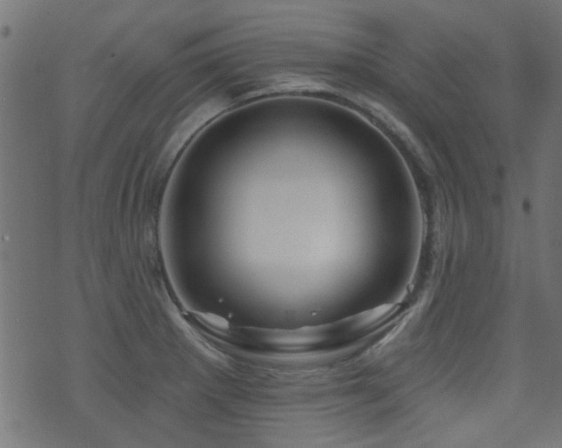 X0000071361281200606231150