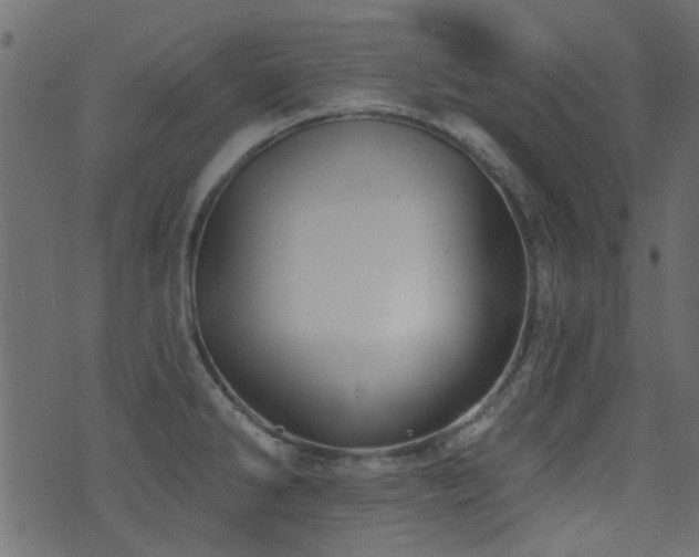 X0000071361286200606231150