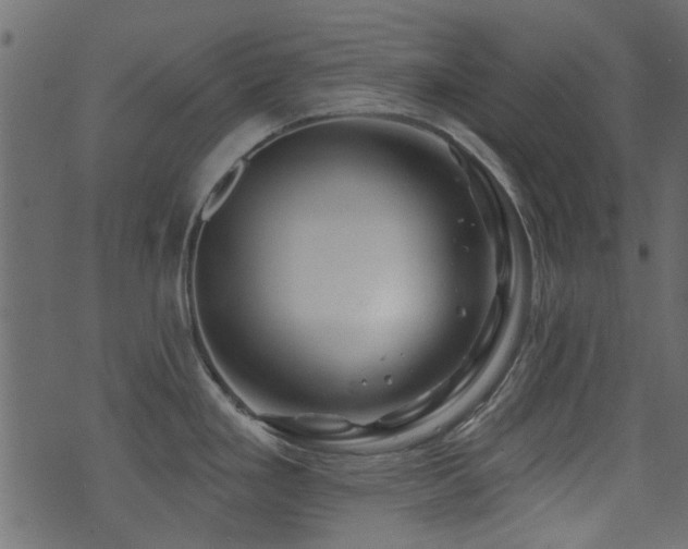 X0000071361293200606231150