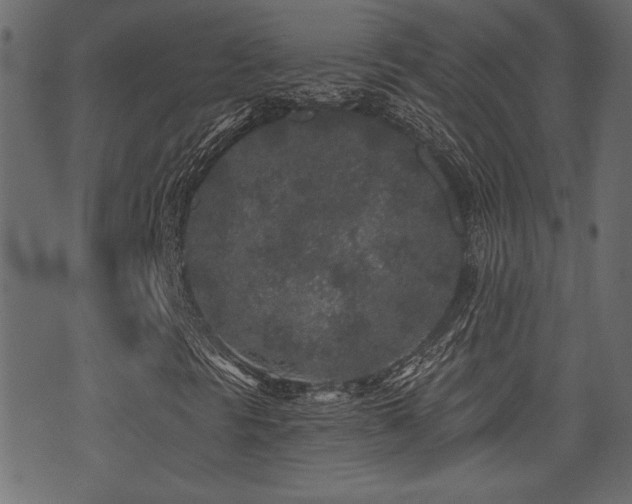 X0000071361297200606231149
