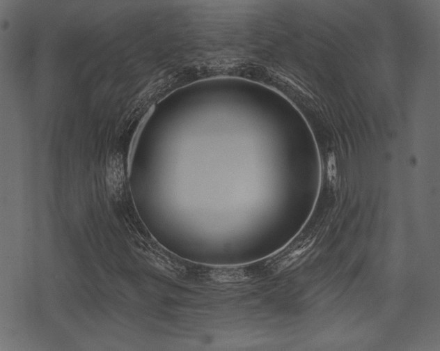 X0000071361299200606231149