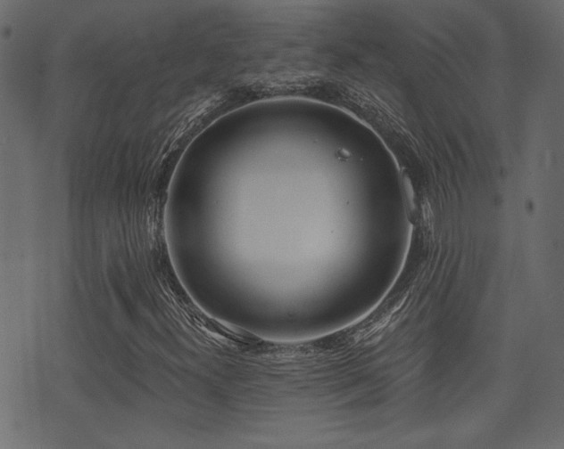 X0000071361300200606231149