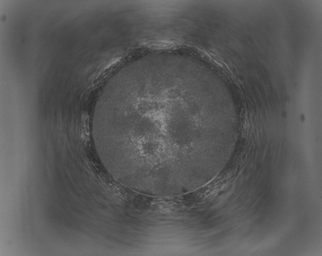 X0000071361301200606231149