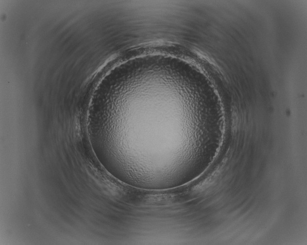 X0000071361305200606231149