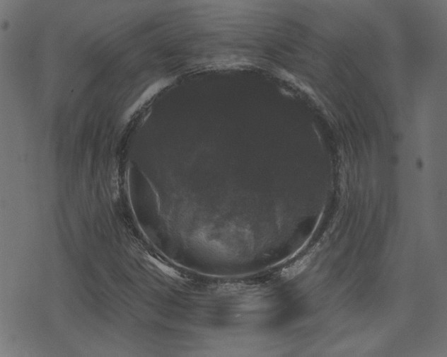 X0000071361306200606231149